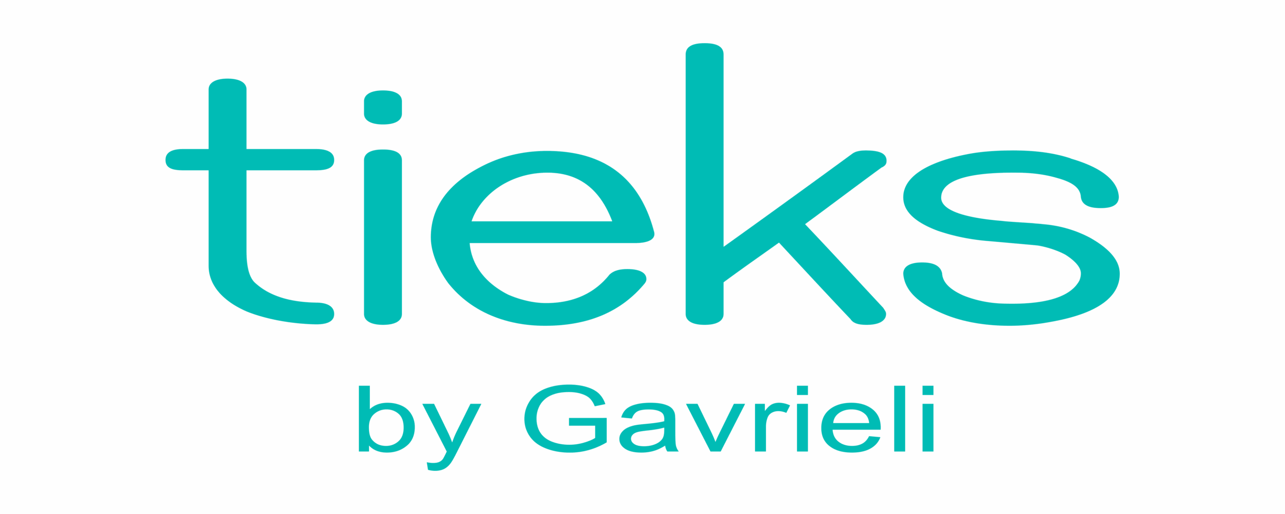 Tieks by Gavrieli (1)