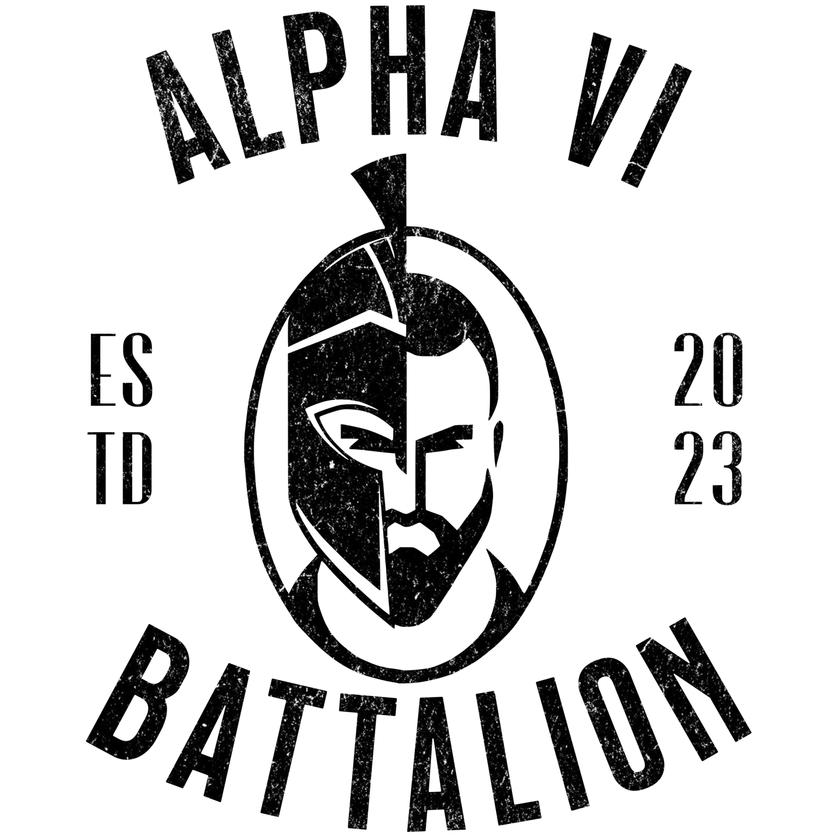 Alpha VI Bn Black Logo